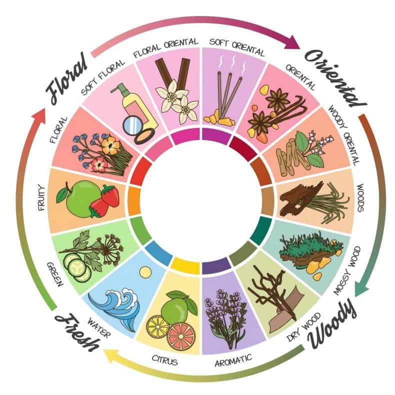 fragrance wheel(1)