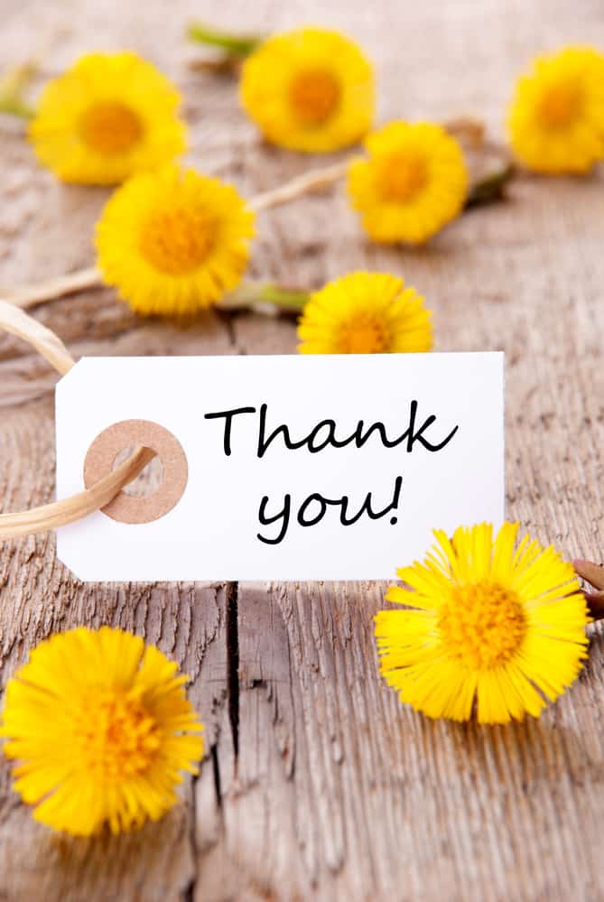 yellow flowers with thank you