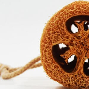 Loofah Brush