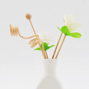 Reeds Diffuser